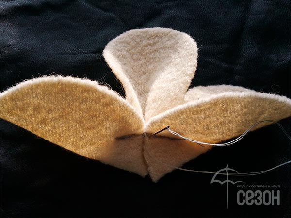 foto_12